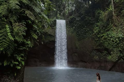 Private Ubud Day Tour: Rice Terraces, Waterfalls & Temples