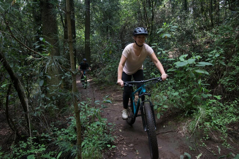 Città del Messico: Giro in bicicletta nel deserto dei Leoni