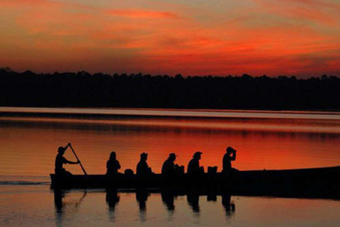 From Madre de Dios ||Night trekking in the Amazon jungle