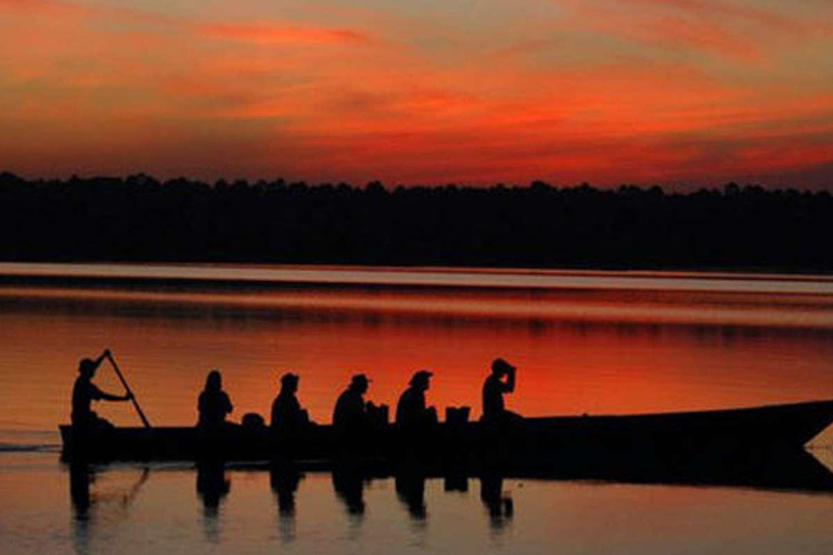 From Madre de Dios ||Night trekking in the Amazon jungle