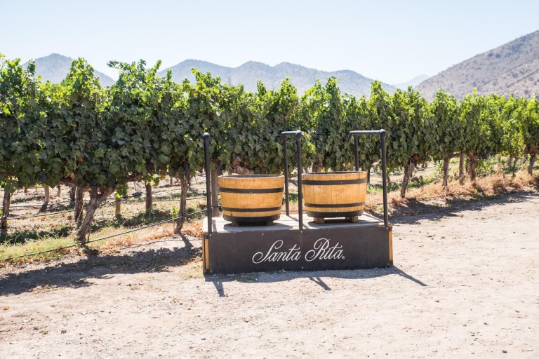Santa Rita: Ultra Premium wijnproeverij, rondleiding en transport