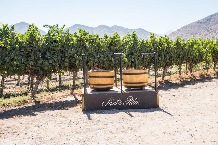 Santa Rita: Tour + Premium Wine Tasting + Private Transport