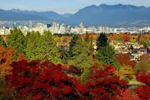 Vancouver: City Highlights Tour with Guide