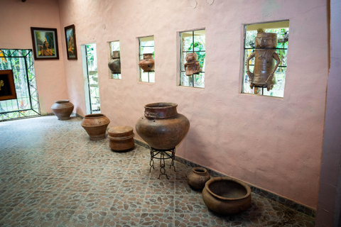 Santa Marta: Taironaka Indigenous Tour