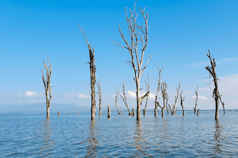 Nairobi:Tour di gruppo del Parco Nazionale Hell&#039;s Gate e del Lago Naivasha