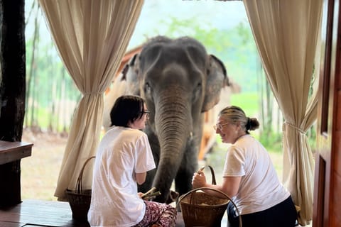 Chiang Mai 2-Day: Good Morning Elephant & Overnight Homestay - Image 2