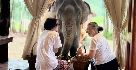 Chiang Mai 2-Day: Good Morning Elephant & Overnight Homestay