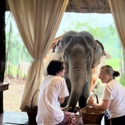 Chiang Mai 2-Day: Good Morning Elephant & Overnight Homestay