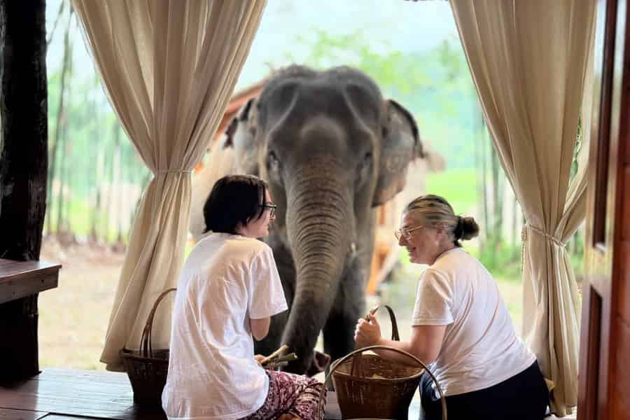Chiang Mai 2 Tage: Guten Morgen Elefant & Übernachtung in einer Gastfamilie. Foto: GetYourGuide