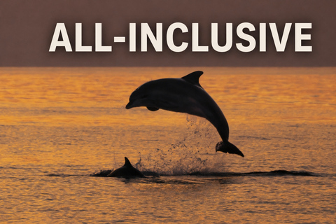 Medulin: 3h Ultra ALL-INCLUSIVE Sunset Dolphin Boat trip 3hours Dolphin Sunset watching with drinks+dinner sandraboat