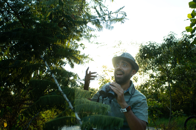 Observation des oiseaux dans l&#039;éco-parc de Kigali