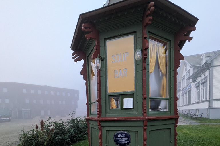 Tromsø: Small Group City Walk & Cinnamon Bun at Fint Café