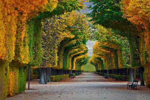 Vienna: Schönbrunn Palace and its enchanting gardens - guided tour