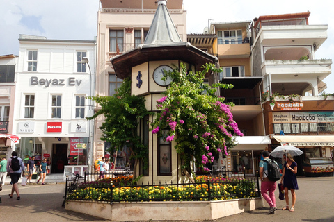 Van Istanbul: Büyükada Walking Full-Day Tour