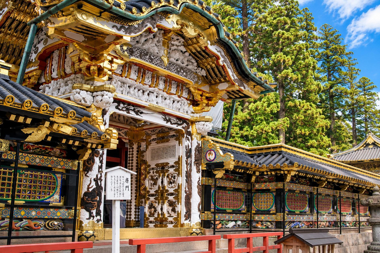 Nikko: Cedar & Falls Private Tour with Pickup & Drop-off EN/CN Guide – Tokyo Pickup & Drop-off