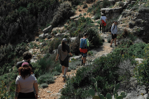Budva: Kayak & Hike Experience on Sveti Nikola Island