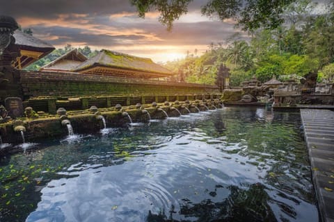 Bali: Customizable Ubud Tour with Local Snack Tasting