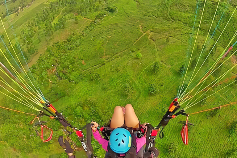 Excursion à Jakarta : Parapente au sommet d'une montagne et plantation de thé