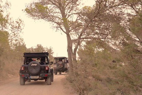 Ibiza Shared Safari Tour –Hidden Beaches, Caves & Snorkeling