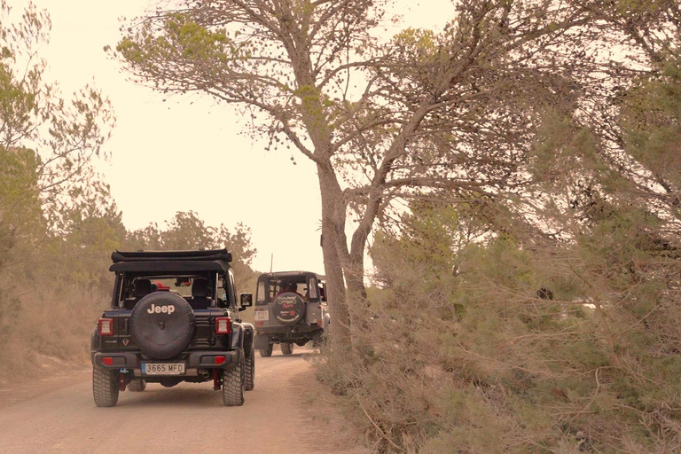 Ibiza Shared Safari Tour –Hidden Beaches, Caves & Snorkeling