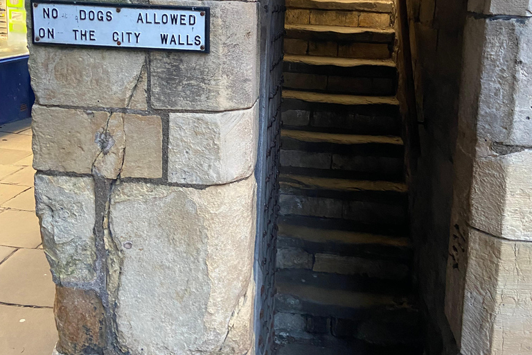 From Newcastle: The Scottish Borders and Lake District Tour