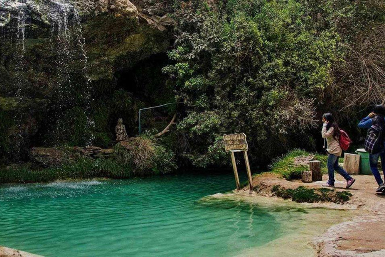 Full day excursion to Sayan and Churin