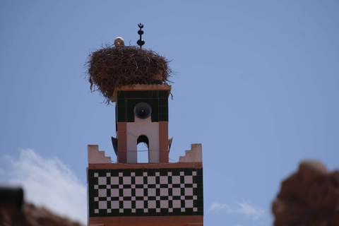 From Fes to Marrakech: 3-Day Merzouga Desert Tour Shared Desert Tour With Standard Camp