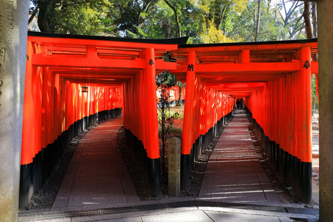 From Tokyo: Super Express One-Day Trip to Kyoto and Nara