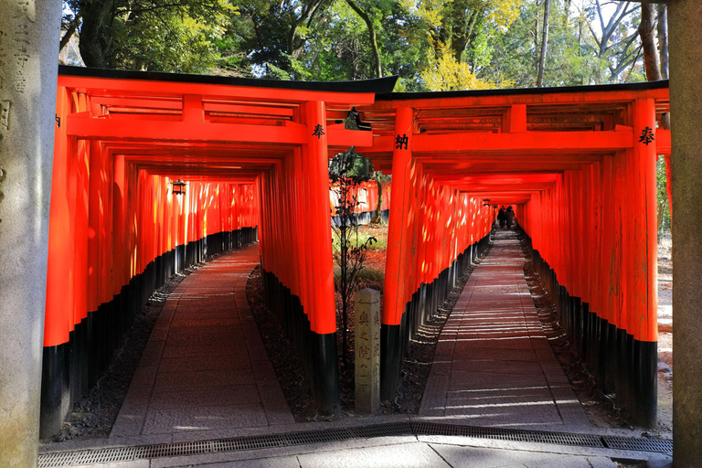 From Tokyo: Super Express One-Day Trip to Kyoto and Nara