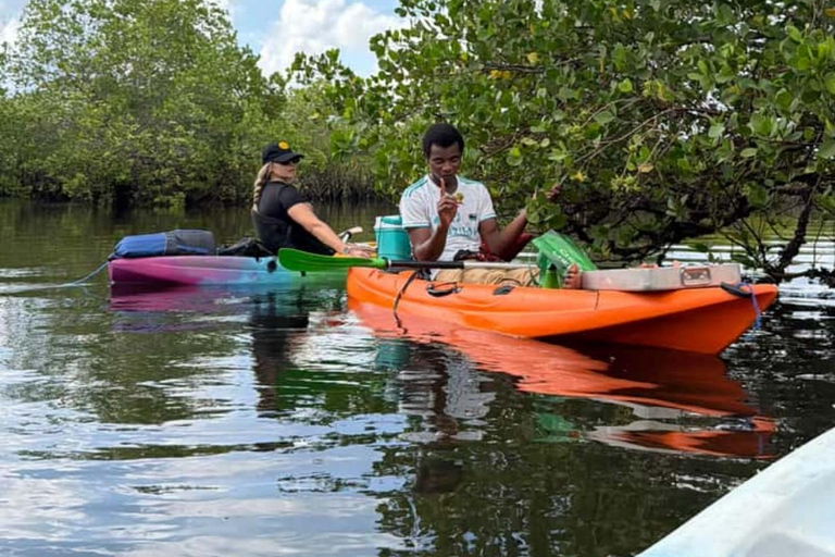 ZANZIBAR: Mangrove Kayaking and Turtle Swim at Salaam Cave PRIVATE TOUR INCLUDES TRANSFER