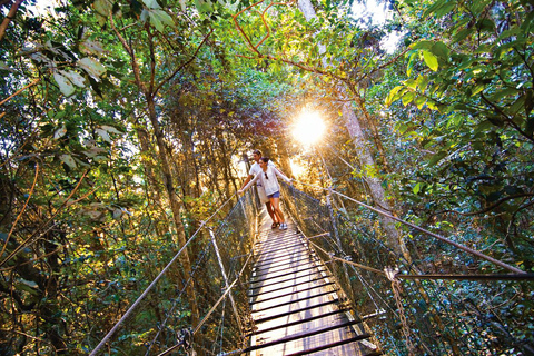 Gold Coast: Lamington National Park & Tree Top Walkway