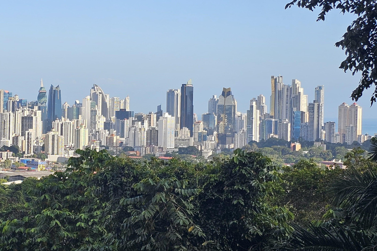 Panamá: Hábitat del Perezoso, Antigua Zona del Canal y Visita al Casco AntiguoSólo desde el Hotel City. No Sueños