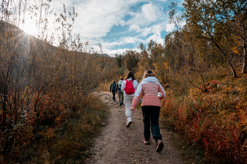 特罗姆瑟：弗洛伊山徒步导览之旅，欣赏壮丽景色Tromsø: Private Guided Hike to Mount Fløya (Snacks &amp; Drinks)