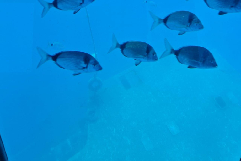 Larnaca: Yellow Submarine Swim Cruise with Unlimited Drinks