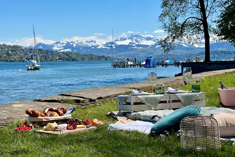 Luxury picnic by Zurich lake