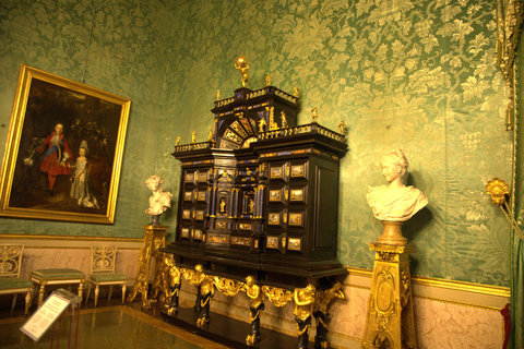 Florence: Discover Palazzo Pitti with Timed Entry & Audio
