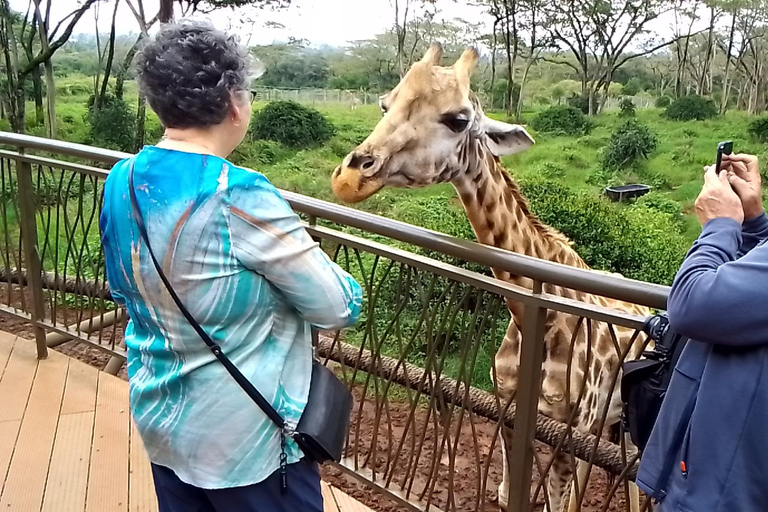 Nairobi Safari walk, Giraffe center, Karen Blixen & Bomas