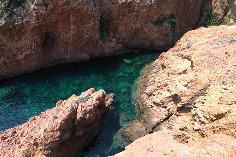 فريجوس: رحلة بحرية Esterel Calanques (قارب مريح) + محطة للسباحة