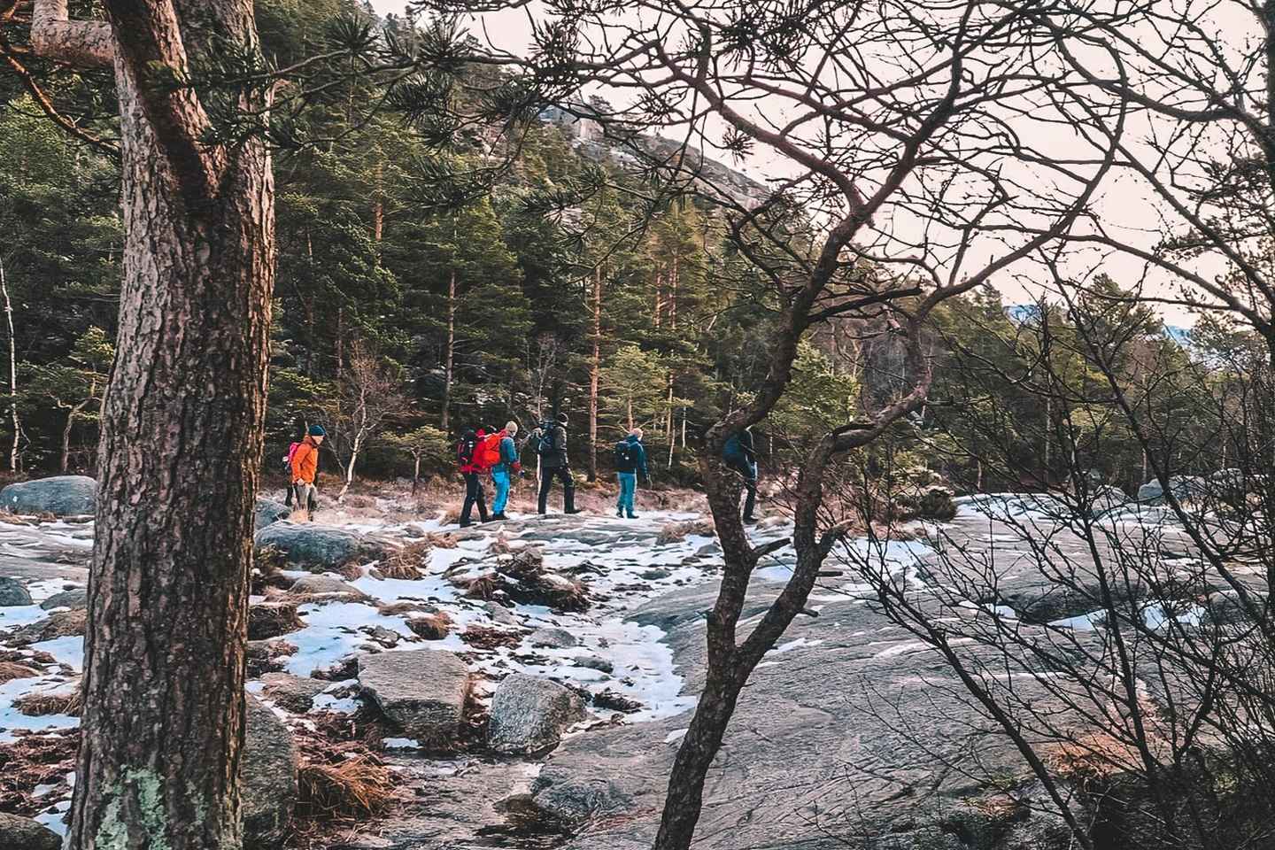 Lysefjorden cruise & Preikestolen guided hike - winter