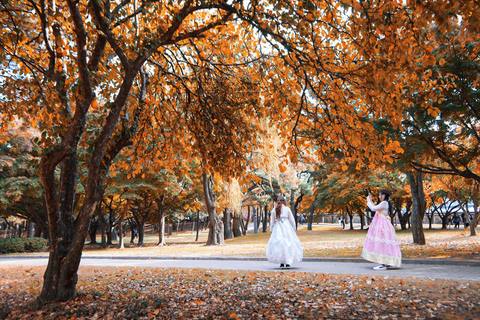 Busan: Gyeongju Autumn Foliage Day Tour with Historic Sites Gyeongju Foliage Shared Tour, Meet at Seomyeon Station