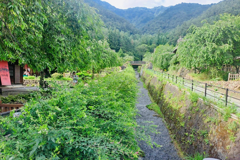 Nikko : visite guidée privée en voiture avec guide anglais