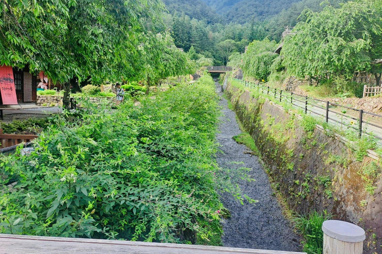 Nikko : visite guidée privée en voiture avec guide anglais