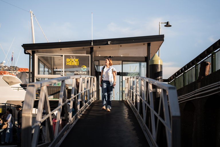 Auckland: Coromandel Peninsula Ferry and Bus Transfer 7:00pm One Way Coromandel to Auckland Ferry & Bus Transfer