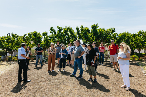 San Francisco: Muir Woods, Napa & Sonoma Valley Wine Tour Shared Tour with Lunch