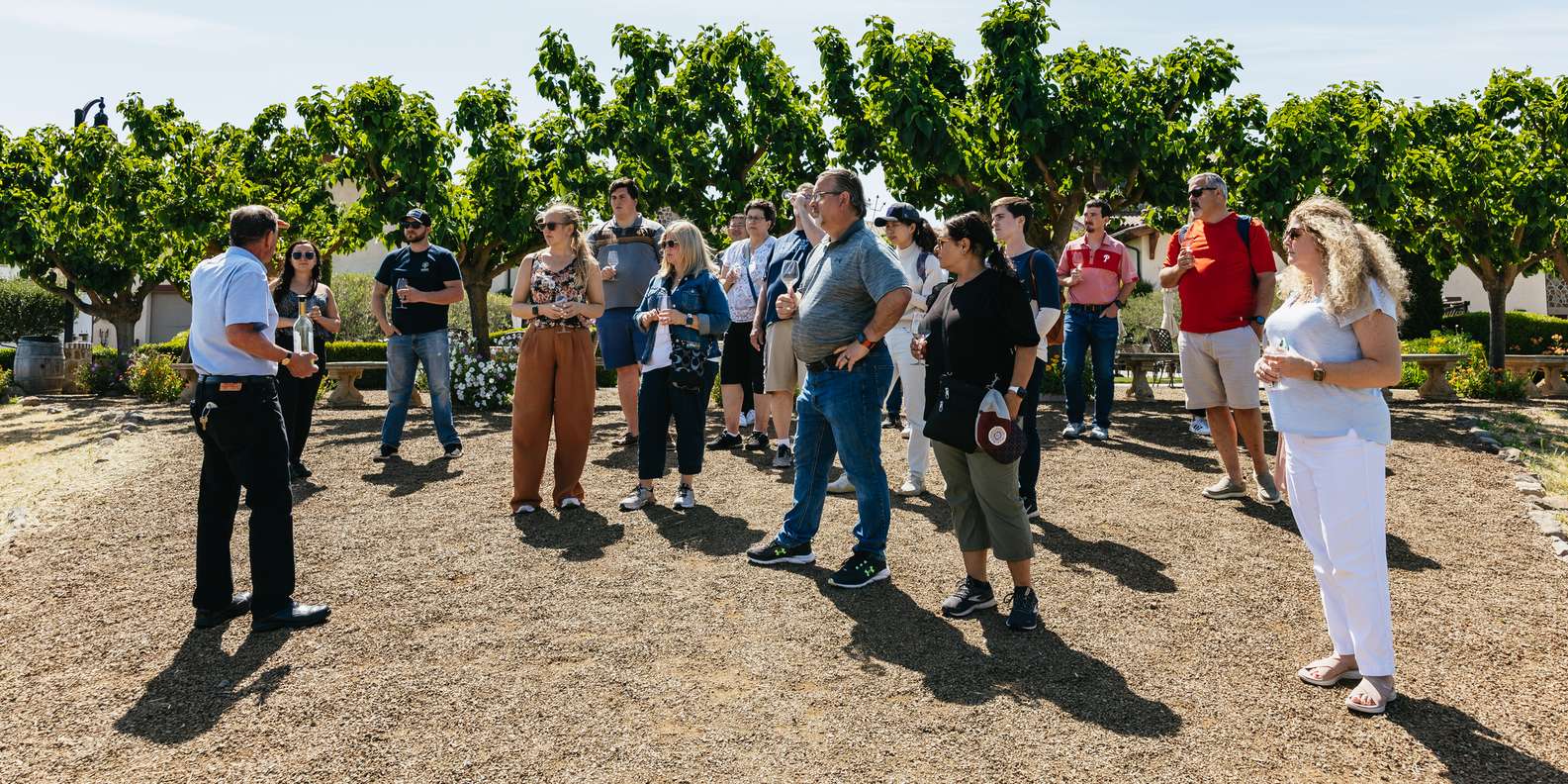 San Francisco: Muir Woods, Napa & Sonoma Valley Wine Tour