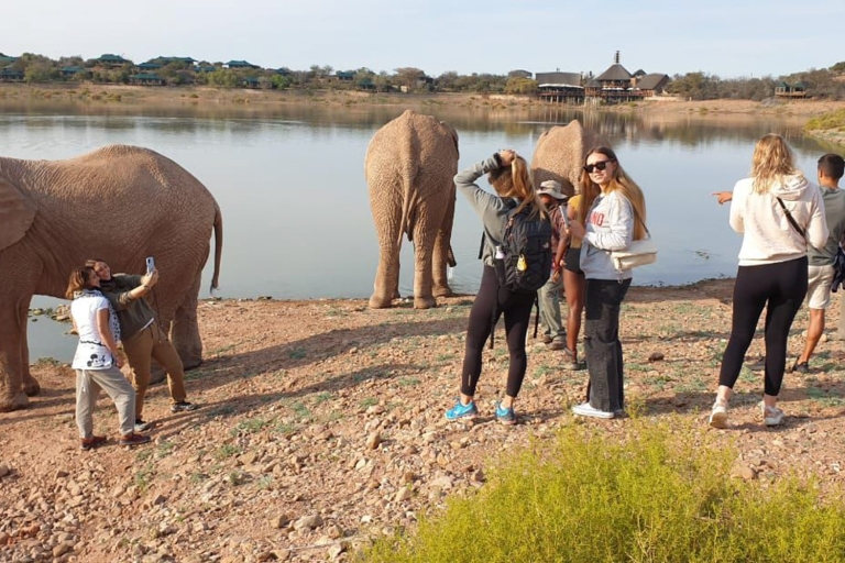 Von Kapstadt aus: Südafrikanische Wildlife Safari 2-Tages-TourKomfort Aufenthalt Paket