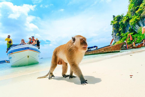 Phuket : Île de Phi Phi, tour en bateau de l&#039;île aux Bambous