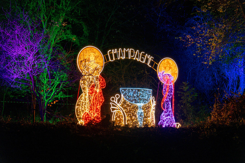 Budapest: biglietto d'ingresso per il Lumina Light Park Wonderworld