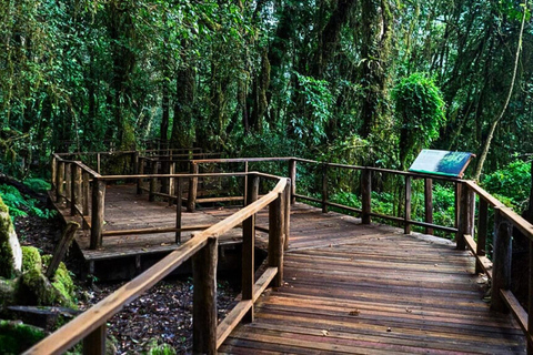 Chiang Mai : Destaques do Parque Nacional Doi Inthanon