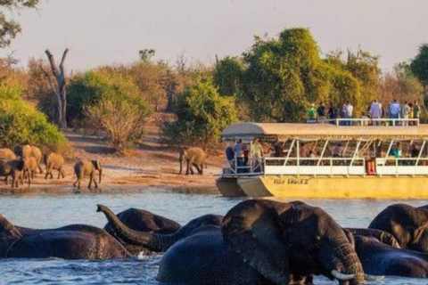 Victoria Falls: Chobe National Park Safari & River Cruise